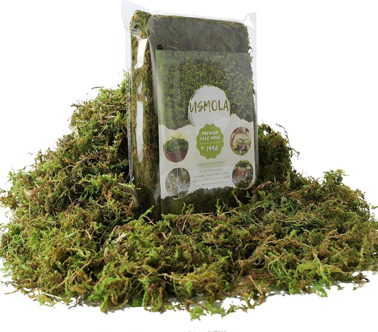 Fake Green Moss for Potted Plants, 4OZ Artificial Moss for DIY Crafts, Faux Moss for Table Centerpieces Fairy Garden Decor (Fresh Green 140gr)