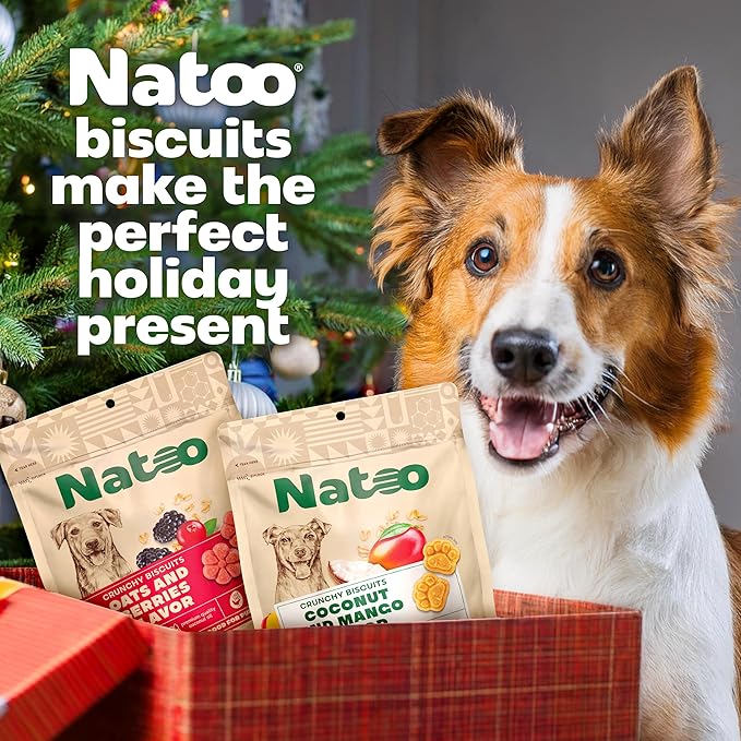 NATOO Dog Treats for Large Breed, Crunchy Biscuits Oats Banana and Honey, Natural Dog Treats, Rich in Omega 6, Prebiotics and Fiber, Antioxidants for Immunity, 8oz