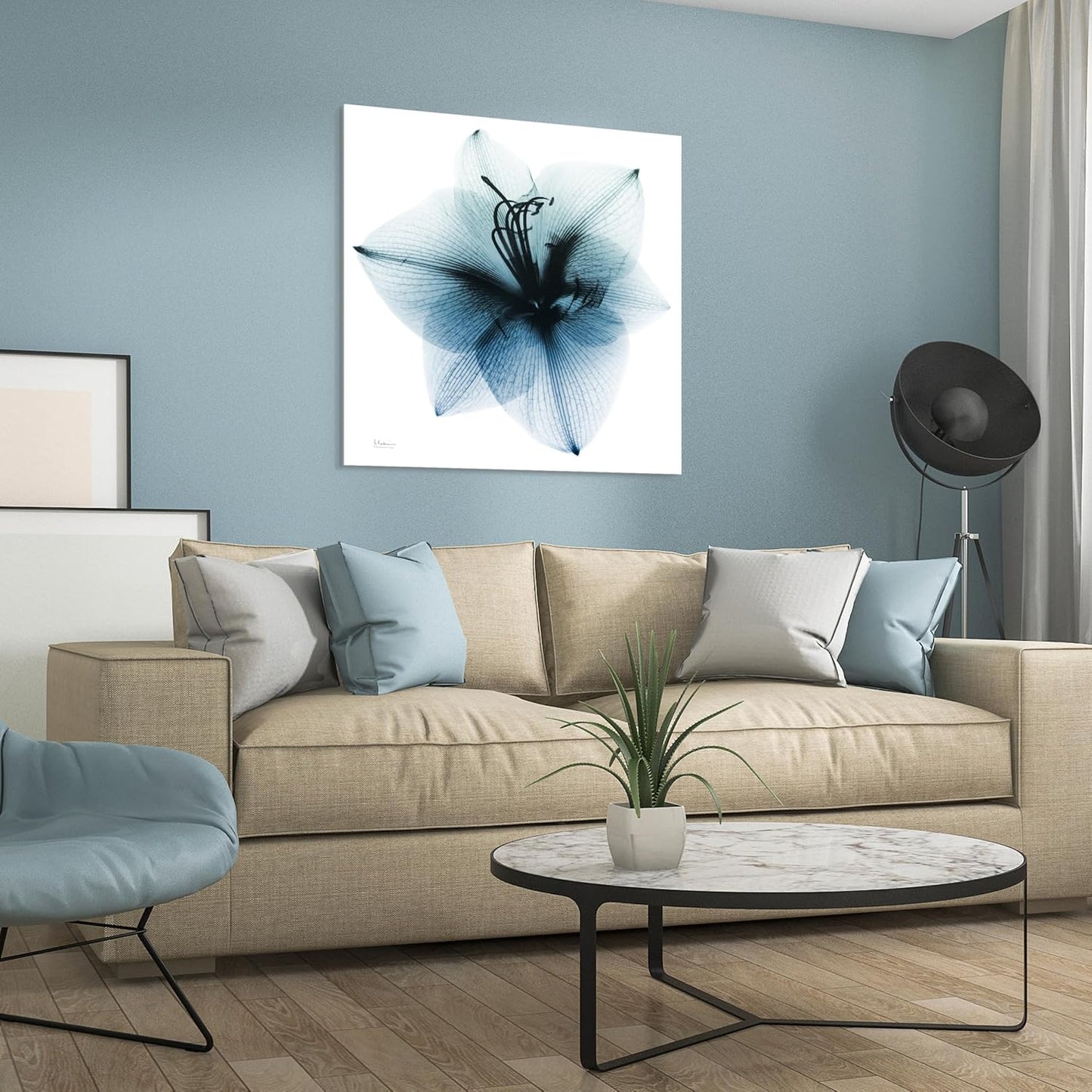 Empire Art Direct Frameless Free Floating Tempered Glass Panel Graphic Wall Art Ready to Hang, 38" x 38", Glacial Amaryllis
